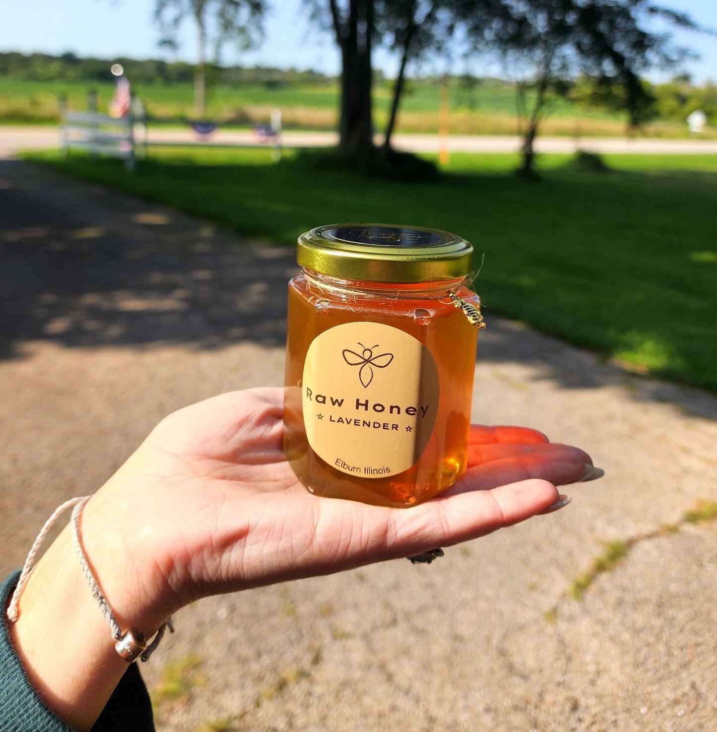 A jar of Raw Lavender Honey, 10 oz, is held in a hand, glowing in the sunlight. The label reads 'Raw Honey Lavender,' and the jar is topped with a golden lid. The background shows a scenic outdoor area with greenery, creating a warm and natural atmosphere