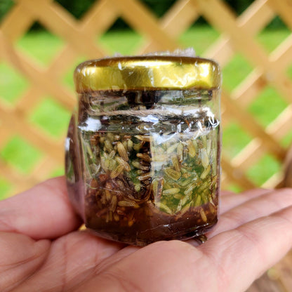 A close-up of a small glass jar filled with honey infused with organic lavender, held in a person's hand. The jar is sealed with a golden lid, with a blurred green lattice background.