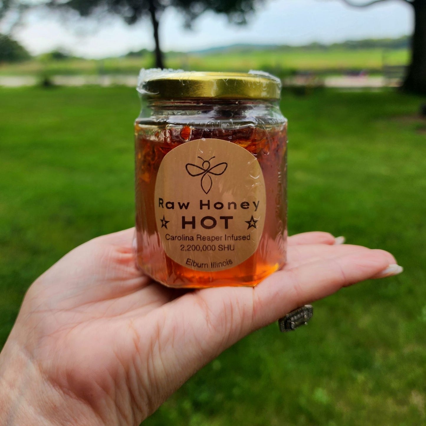 Close-up of a hand holding a jar of Raw Honey Hot, infused with Carolina Reaper, labeled with a Scoville rating of 2,200,000 SHU, against a blurred green outdoor background.